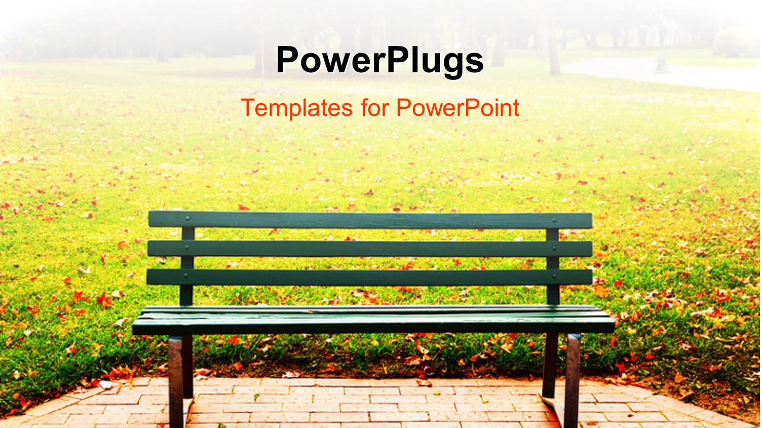 a Bench in the Park with Blurred Background