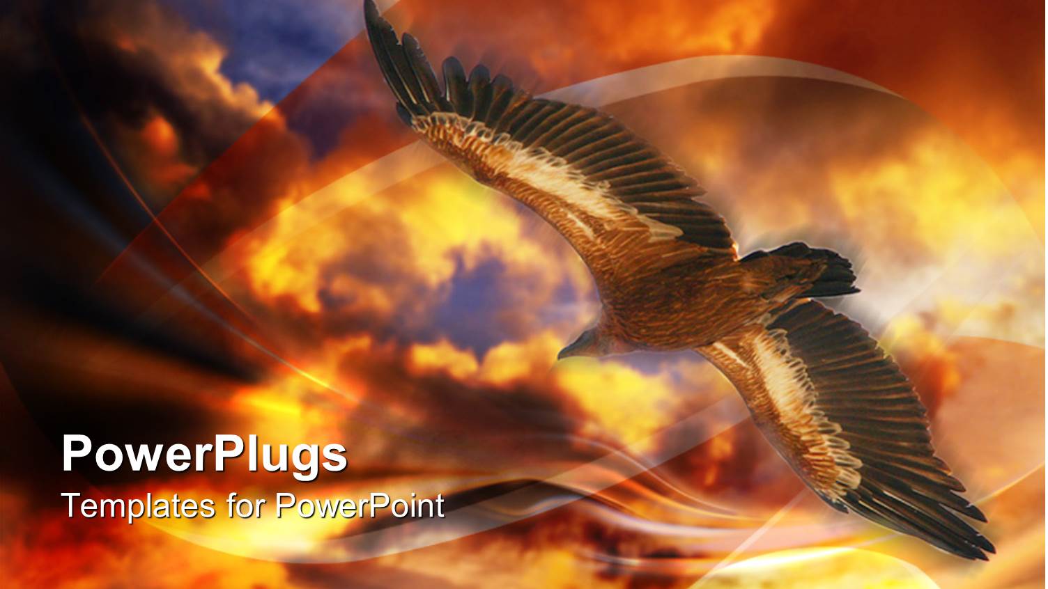 big Eagle Flying Under a Dark and Orange Cloud