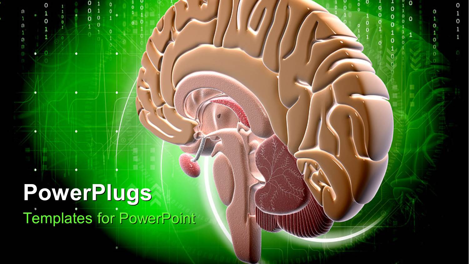 Binary Digits on Green and Black Background with Colorful Human Brain 
