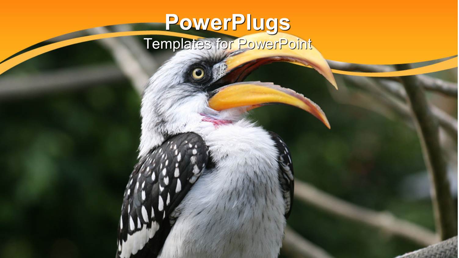 a Bird with its Beak Open and Greenery in the Background