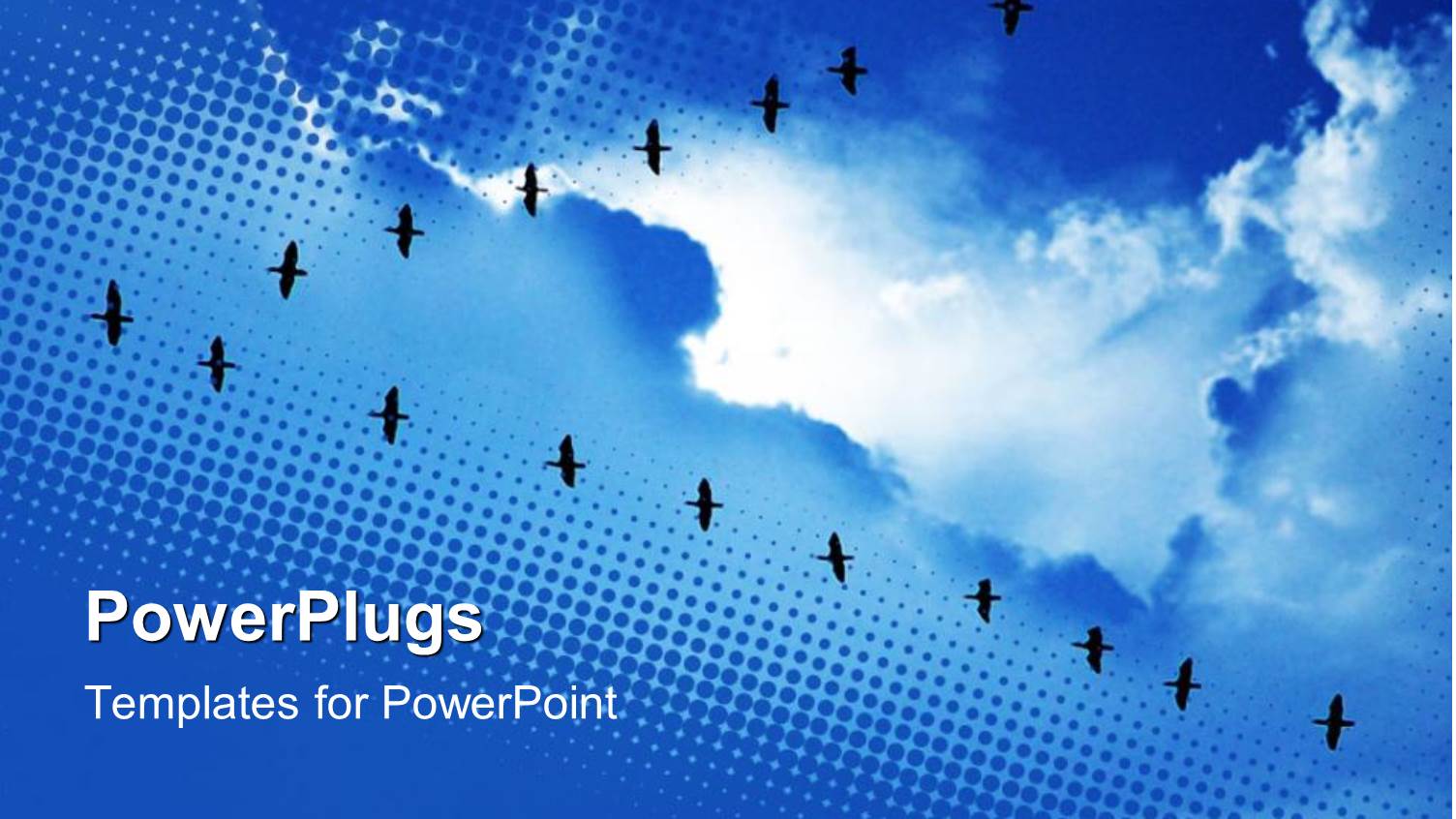 Birds Flying in V Formation, Blue Sky