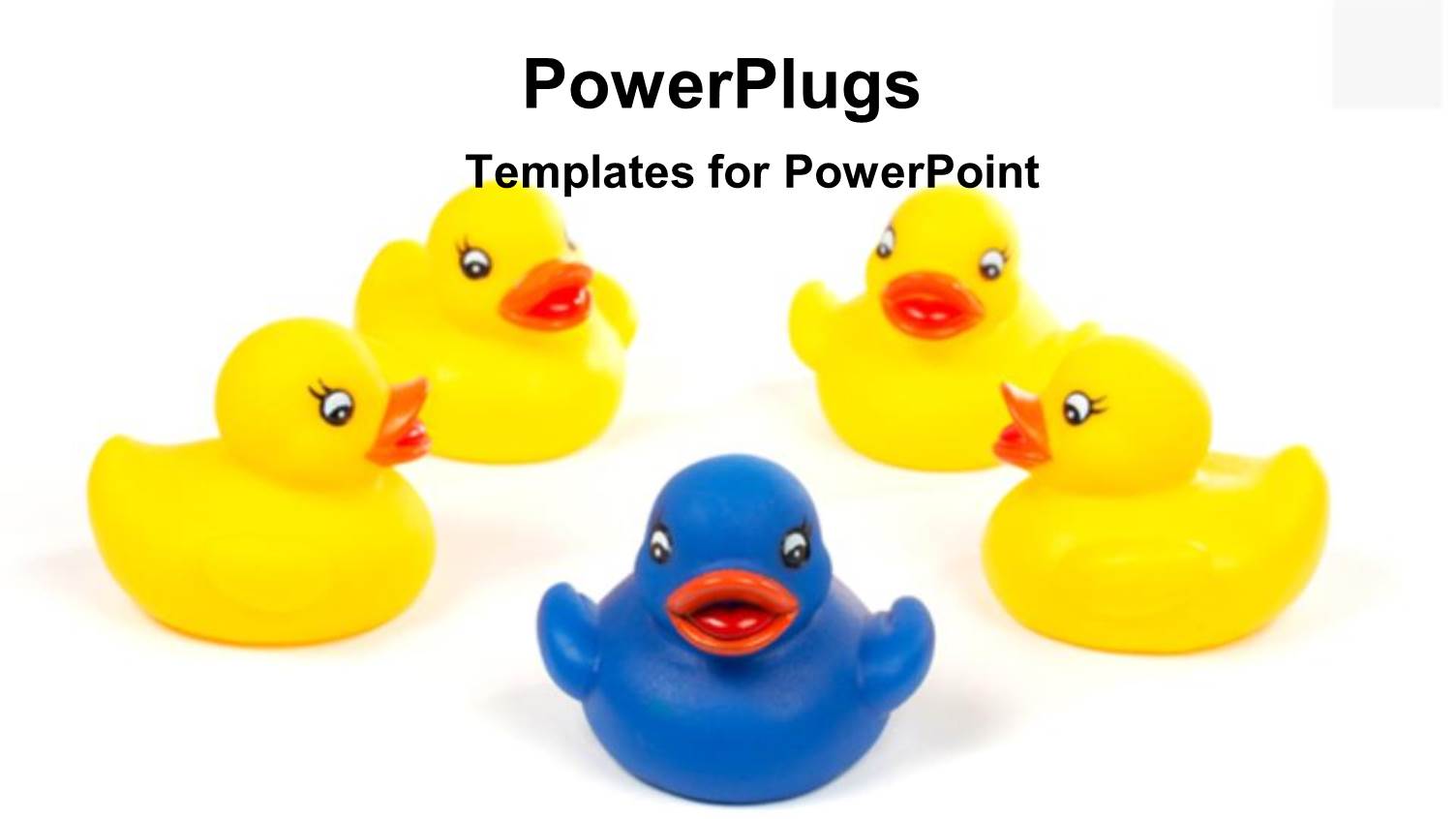 Blue Toy Duck Leading Others in Yellow Over White Background