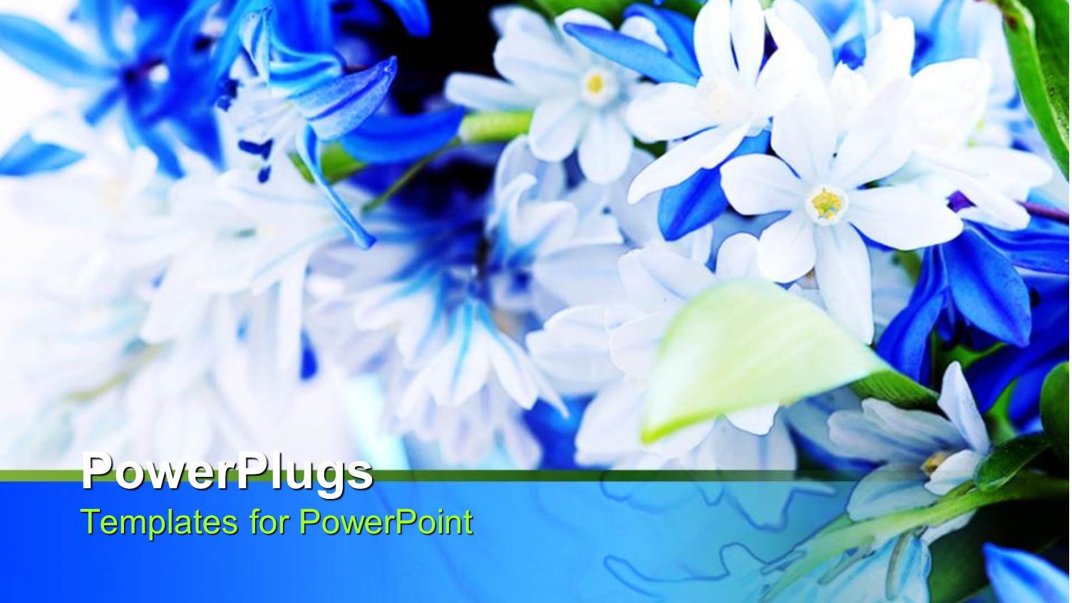 Blue White Spring Bouquet with Green Leaves, Flowers