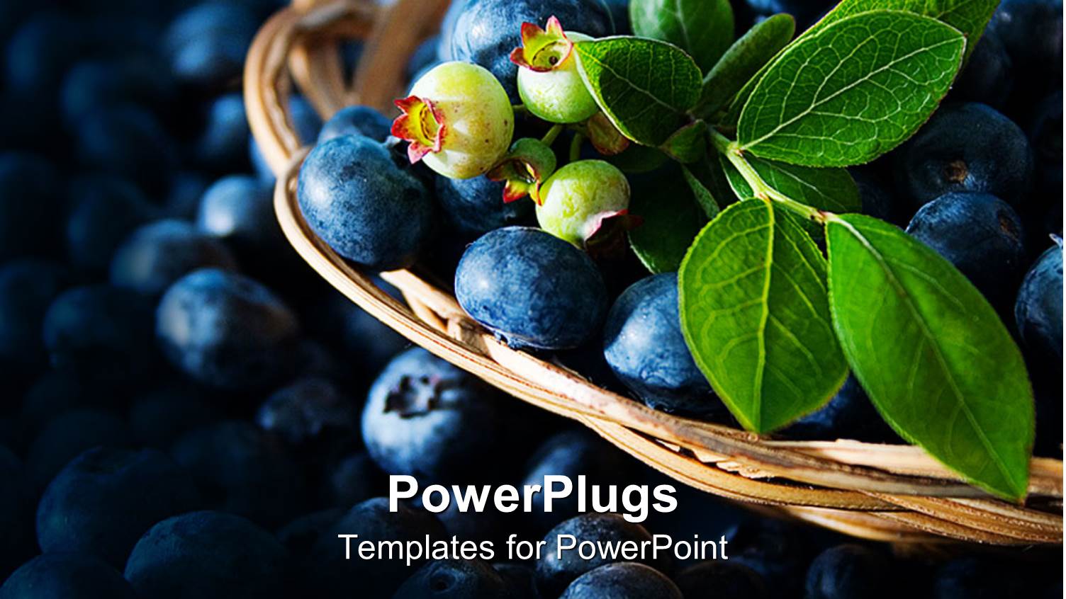 Blueberries Inside a Basket and Surrounding the Basket with Green Leaves on Top of Blueberries