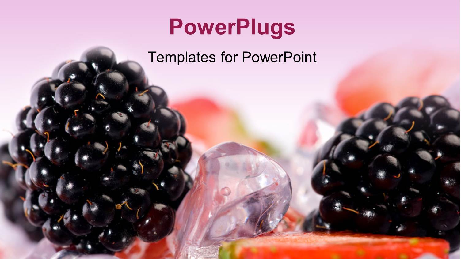 a Blueberry with a Lot of Ice Cubes in the Background