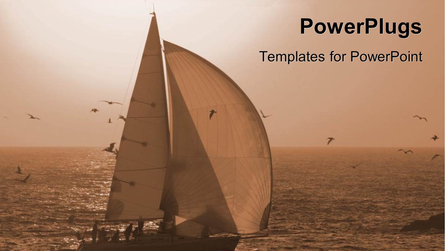 Boat Out in an Open Sea with Birds Flying Around