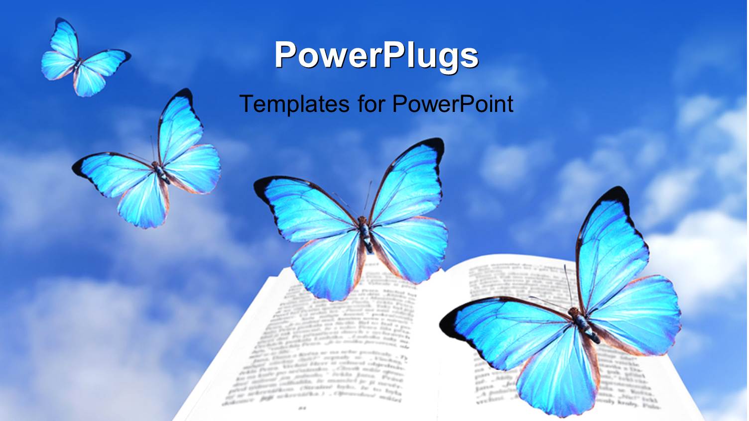 a Book and a Number of Butterflies