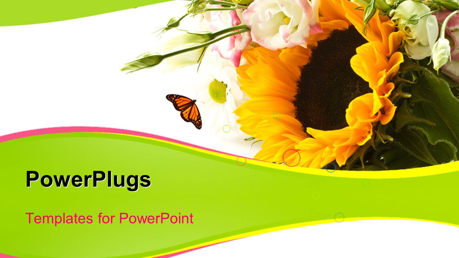 Butterfly Flies Towards Beautiful Flower Bouquet in White Background