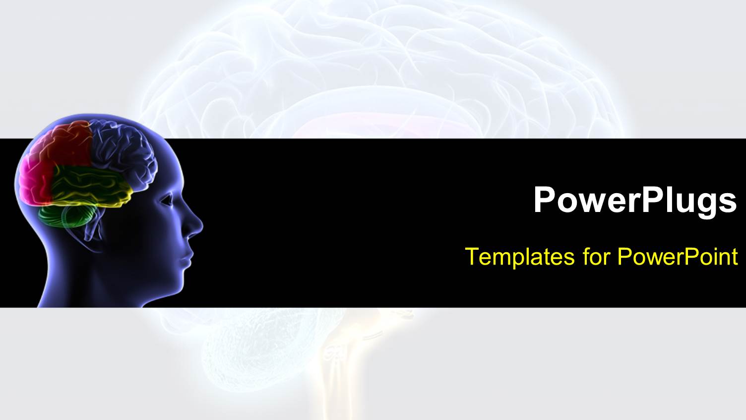 Scan of the Human Head Showing Human Brain