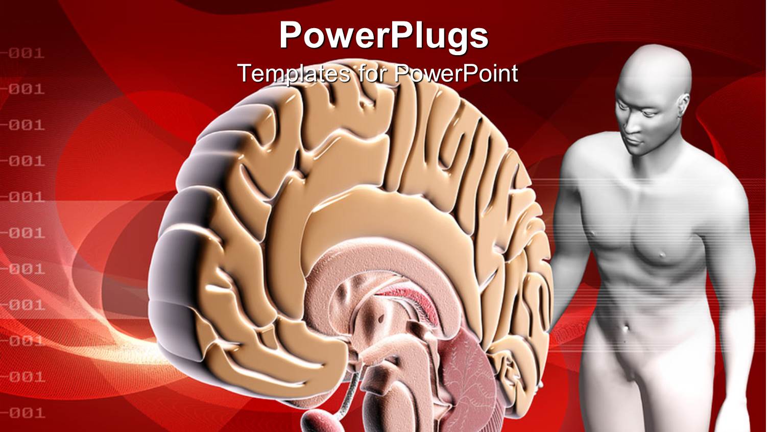 the Brain of a Human Being with Reddish Background