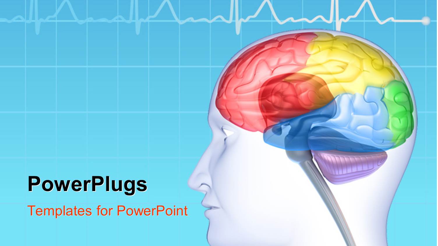 Brain Lobes in Head Silhouette with ECG Wave in the Background