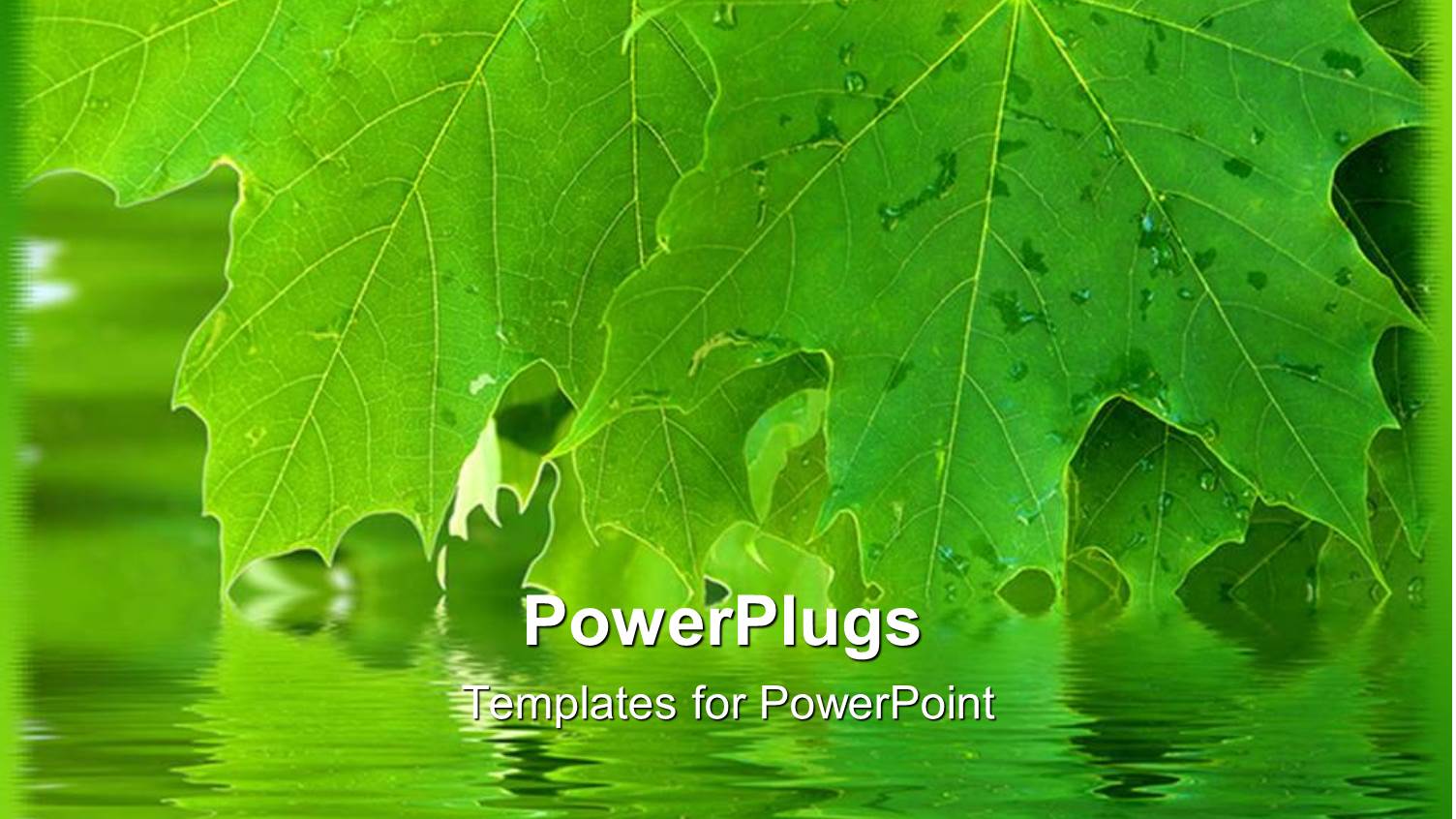 Bright Green Leaves Reach Down to Touch Surface of Reflective Water