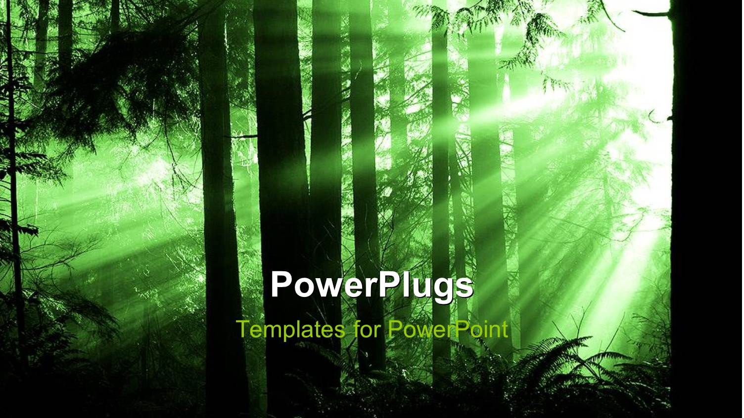 Bright Light Piercing Through Thick Green Forest 