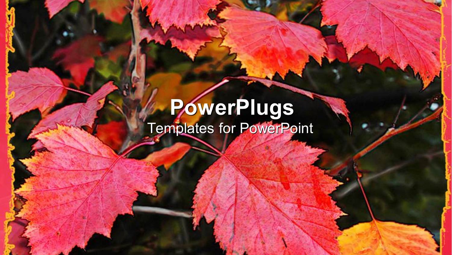 Bright Red Autumn Leaves, Fall, Seasons