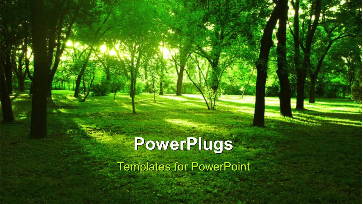 Bright Summer Forest with Green Grass and huge Trees