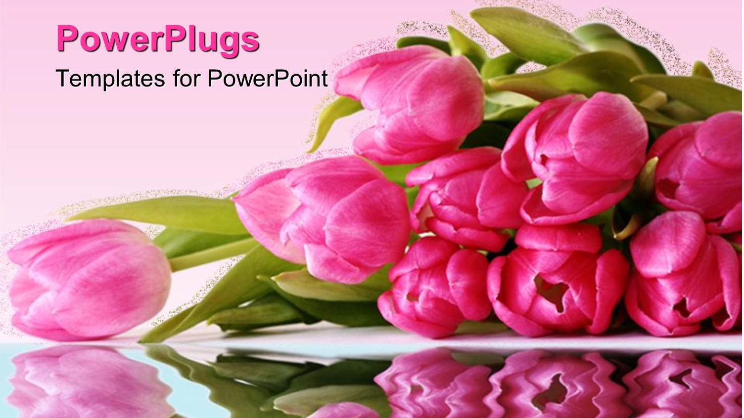 Bunch of Pretty Pink Flowers on a Pink Background