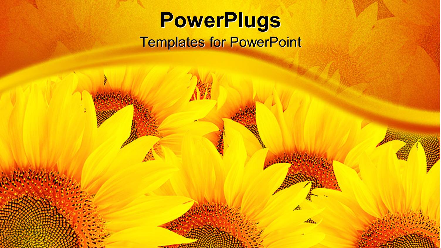 a Bunch of Sunflowers with their Reflection in the Background