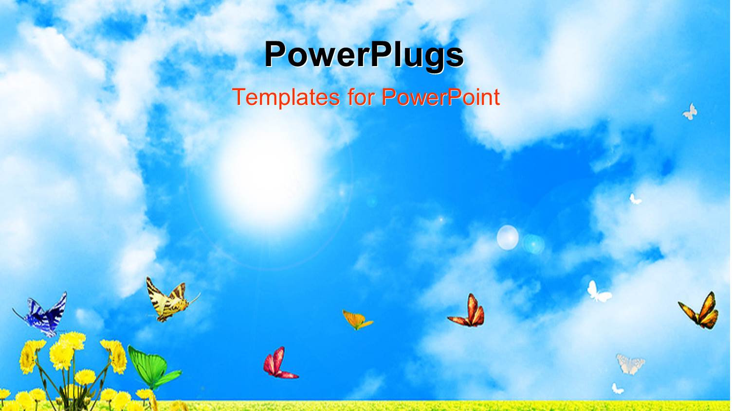 Butterflies Fluttering in Field of Yellow Flowers Under Blue Sky