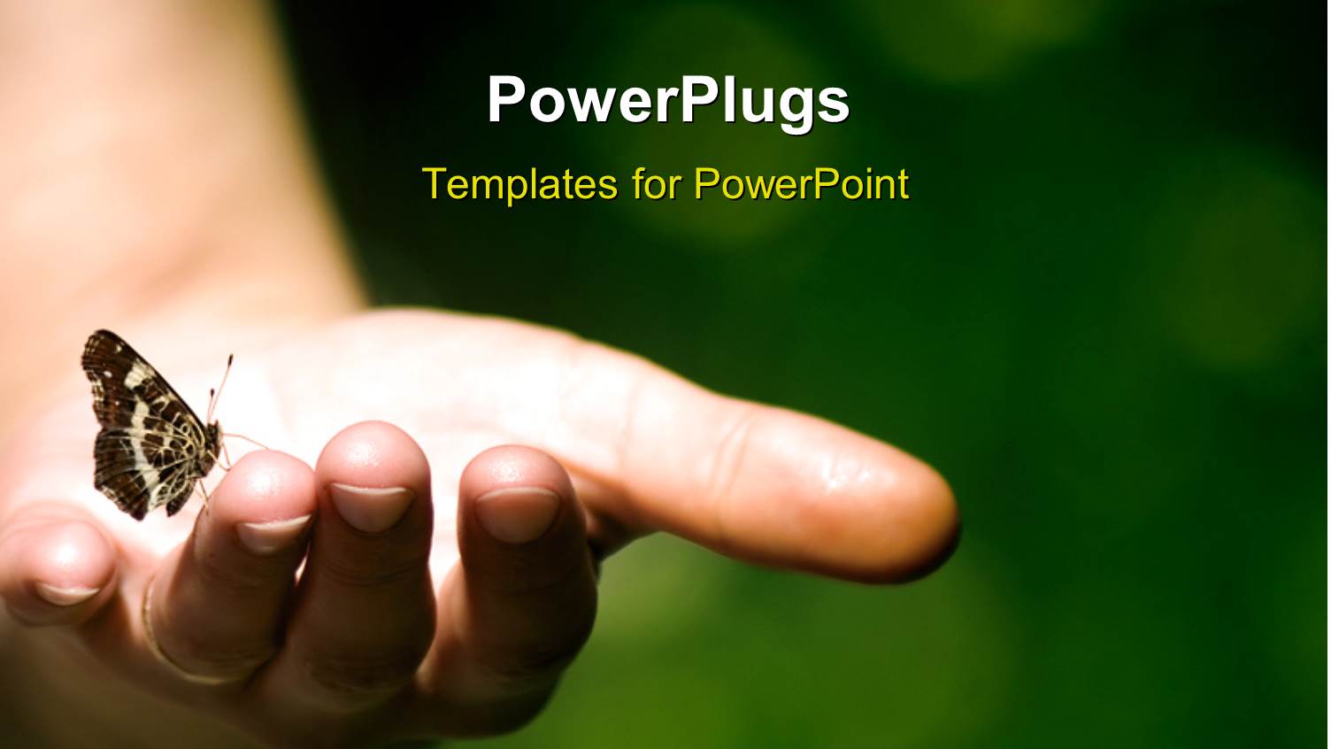 Butterfly Perches on Human Hand with Bright Light Glow