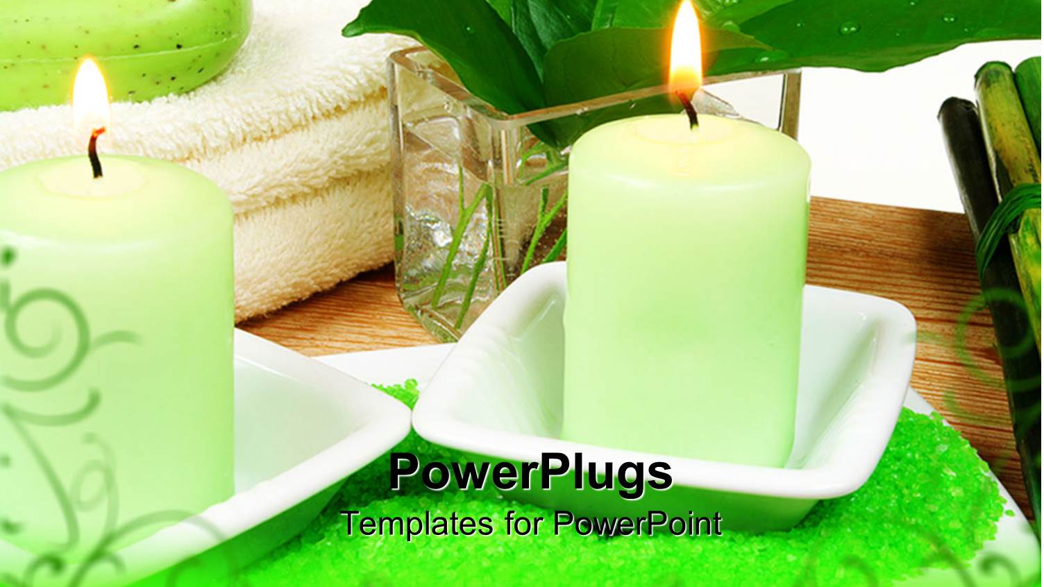 a Candle with Leaves in the Background