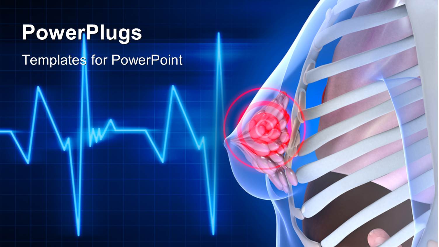Cardiogram Pulse Line in Background with Anatomy of Female Upper Body