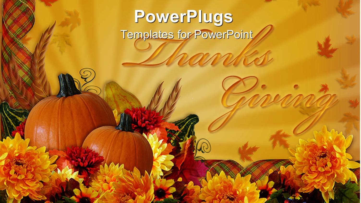 the Celebration of Thanks Giving with Two Pumpkins