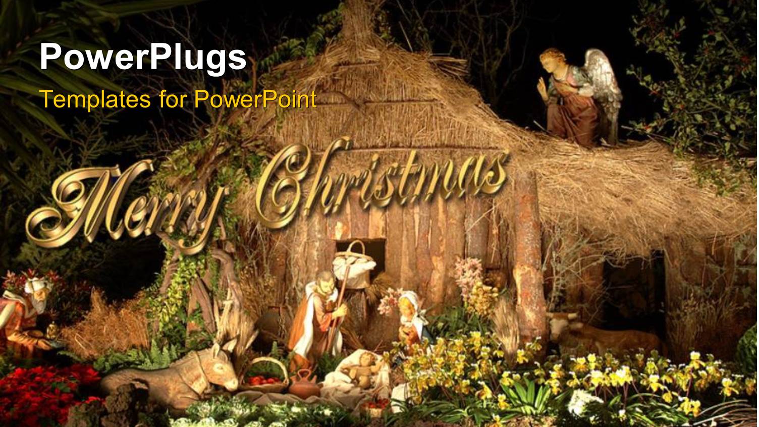 Christmas Decorations with Beautiful Flowers and Angel Watching Over Manger