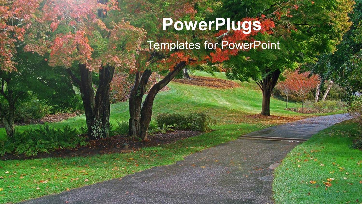 Clean Clear Pathway in Between Grasses and Colorful Trees