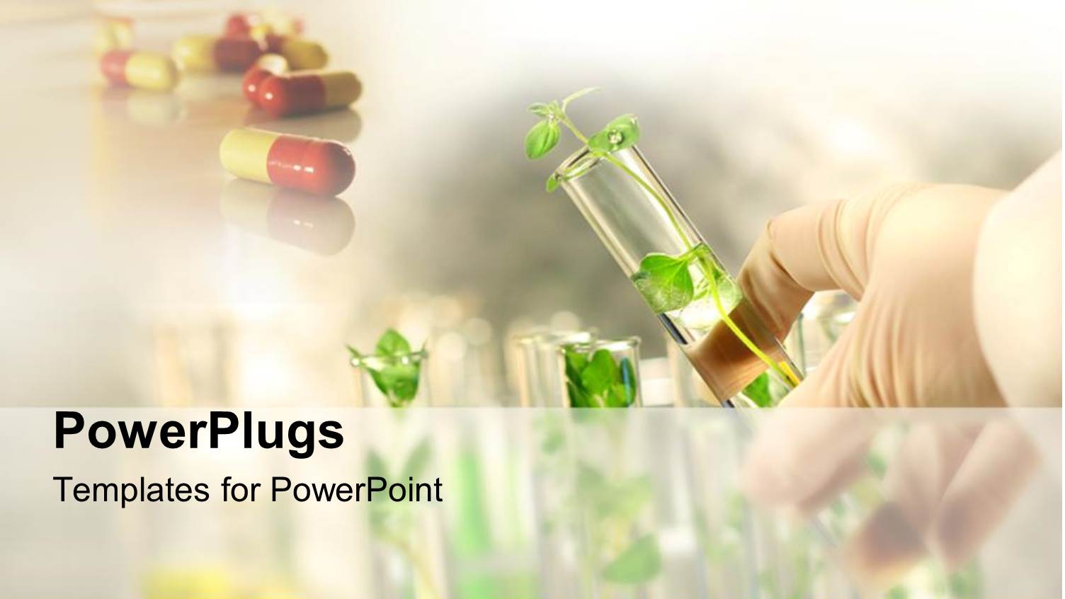 Close-up of small Plants in Test Tubes