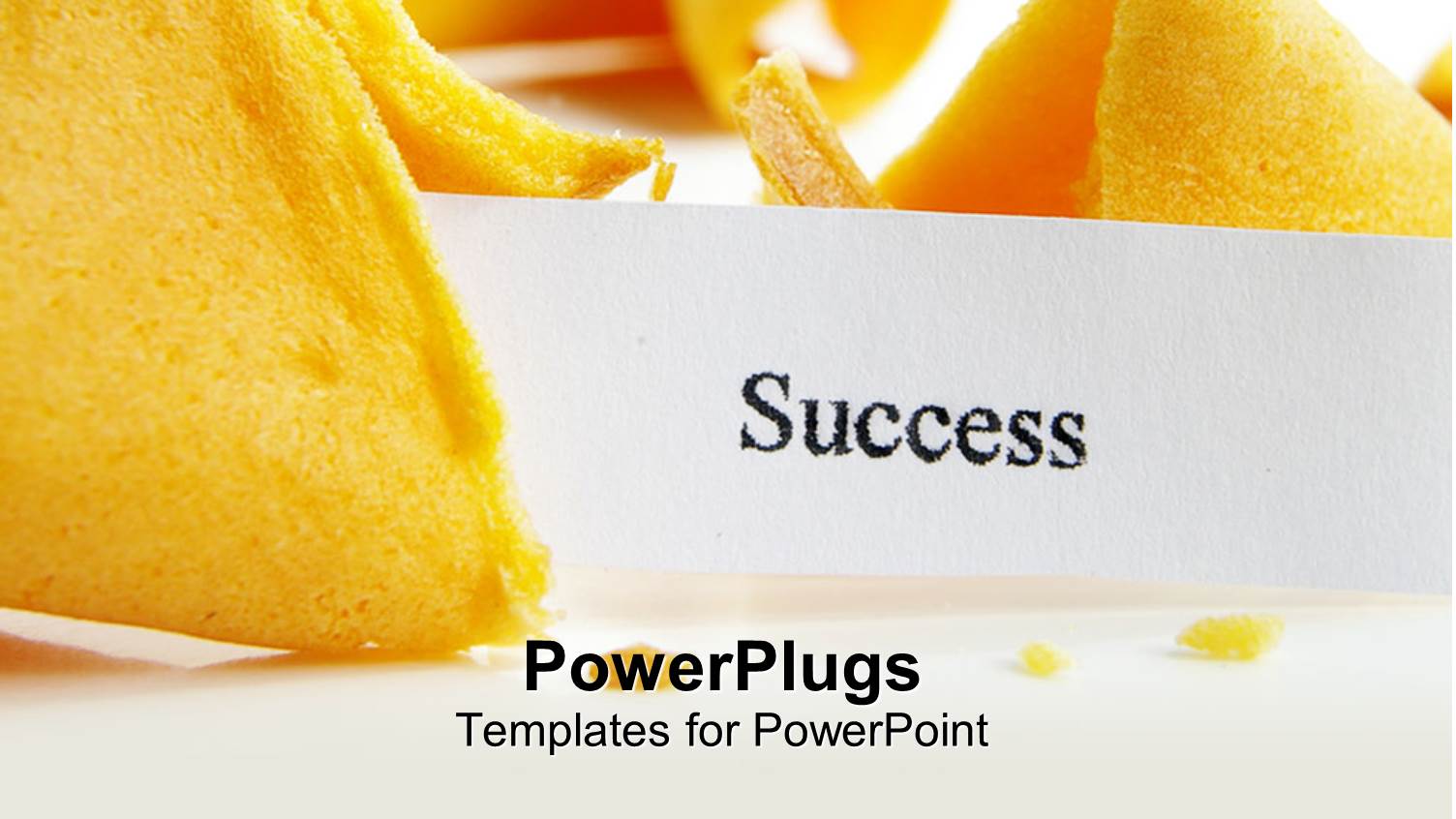 Close Up of Broken Fortune Cookie with Success Note