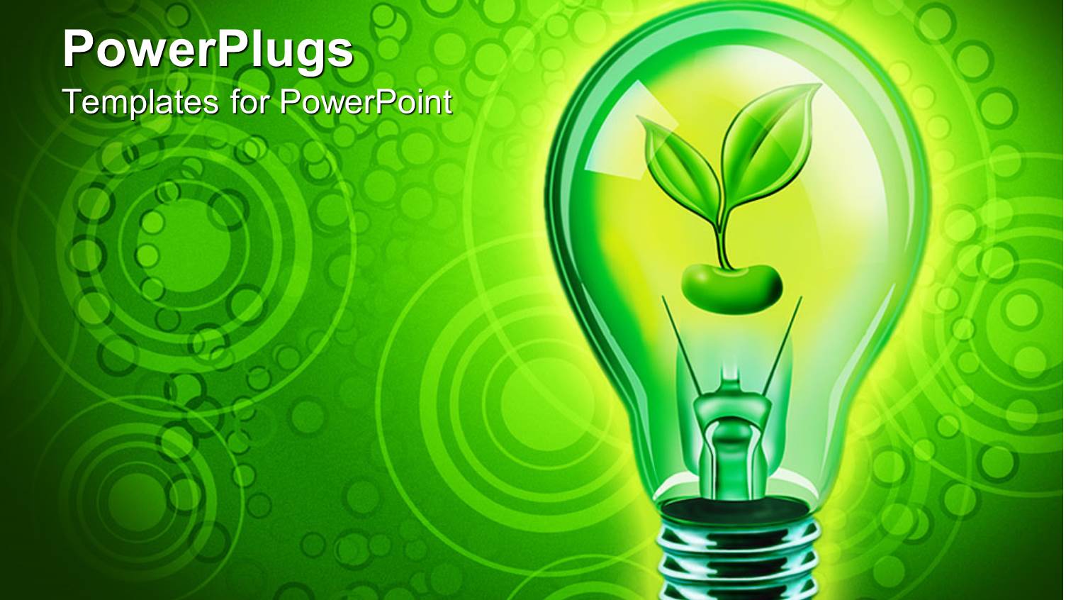 Close Up of Bulb with Green Sprouting Seed in Green Background