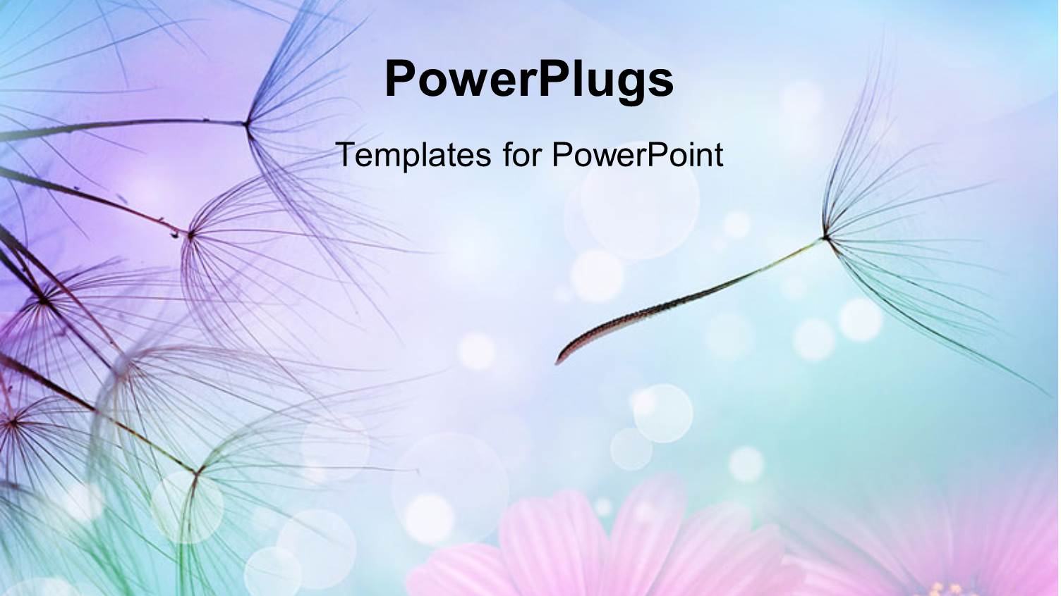 Close Up of Dandelion Seeds in Flight Against Flowers Background