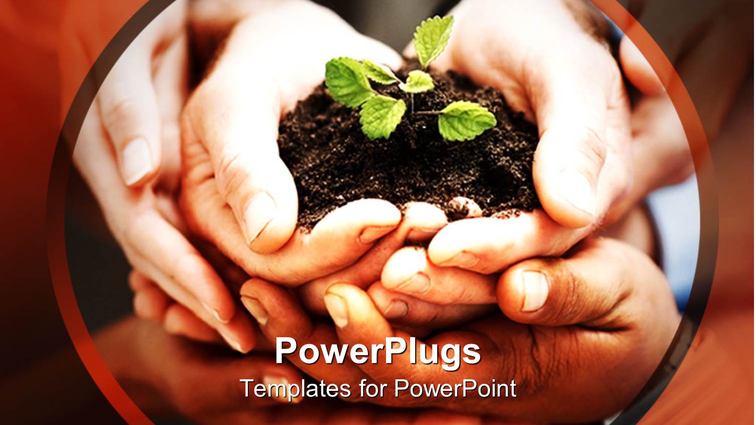 Close Up of Five Hands Holding Handful of Soil with small Green Seedling