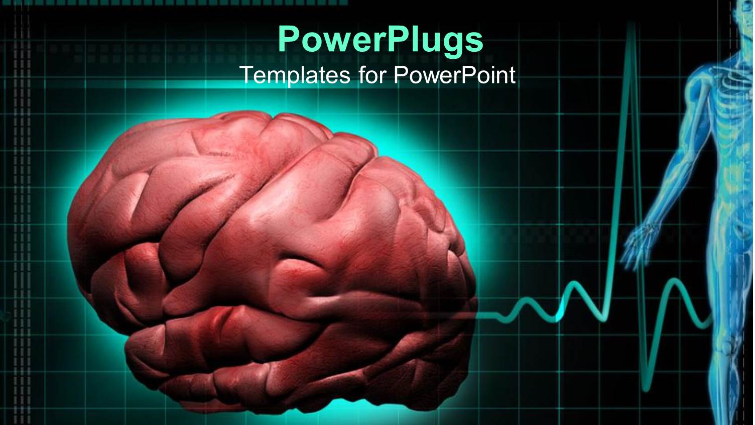 Close Up of Human Brain, Half of Human Body Anatomy and Cardiogram in the Background