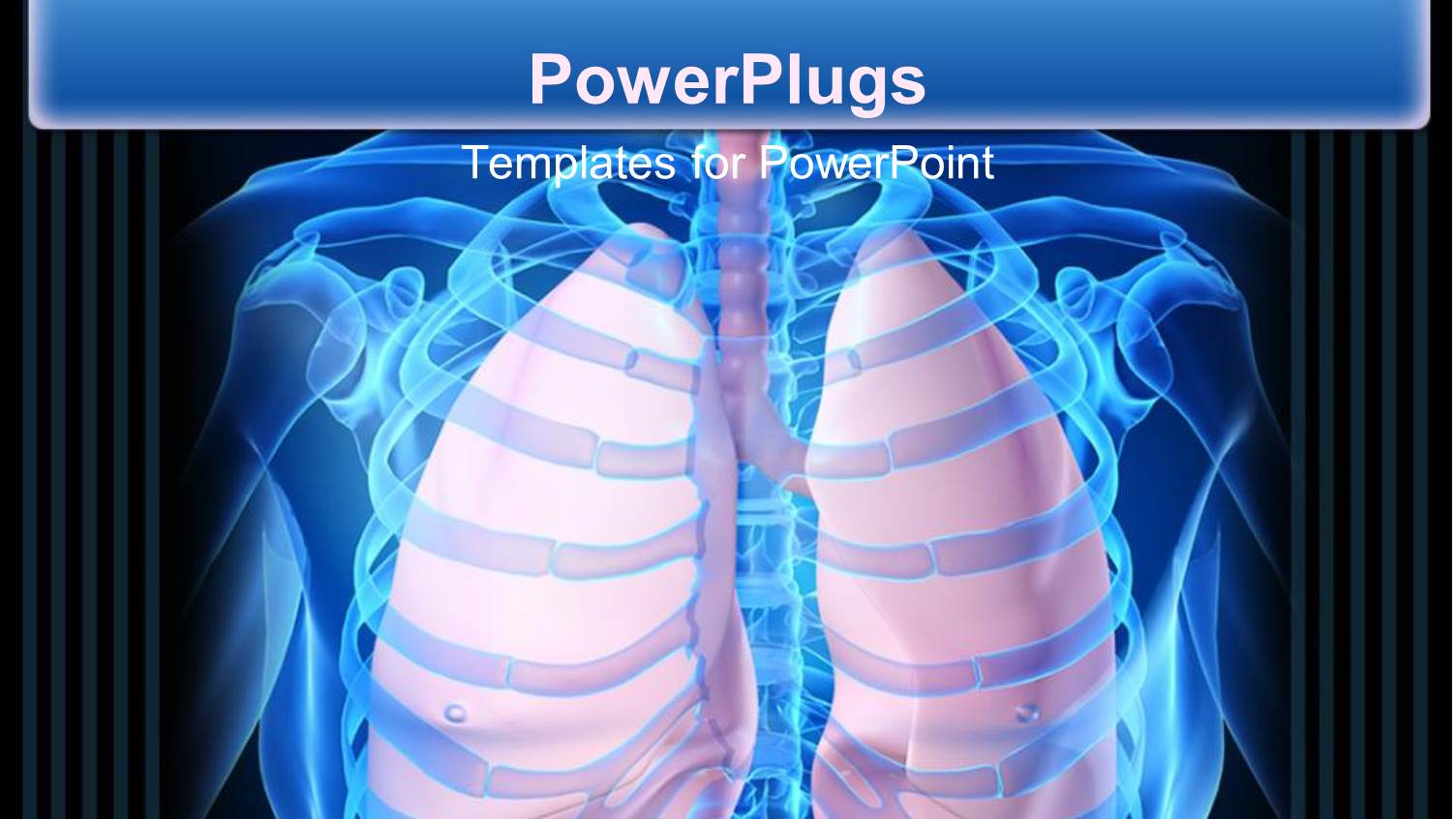 Close Up Scan of Human Skeleton Showing Ribs and Lungs