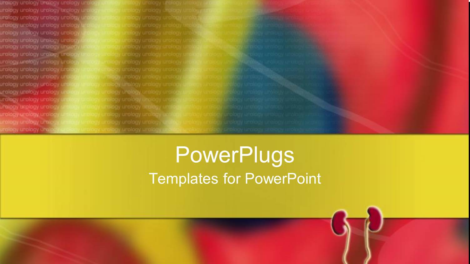 Close Up Shot of a Male Urinary Tract with an Urology Text