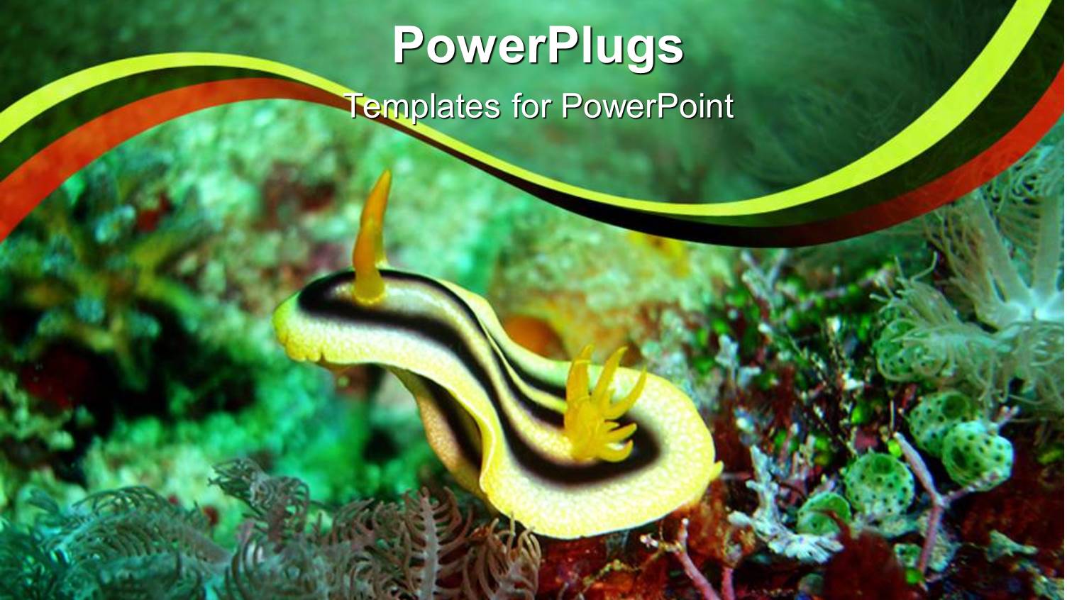 Close Up Shot of the of Plants Inside a Sea