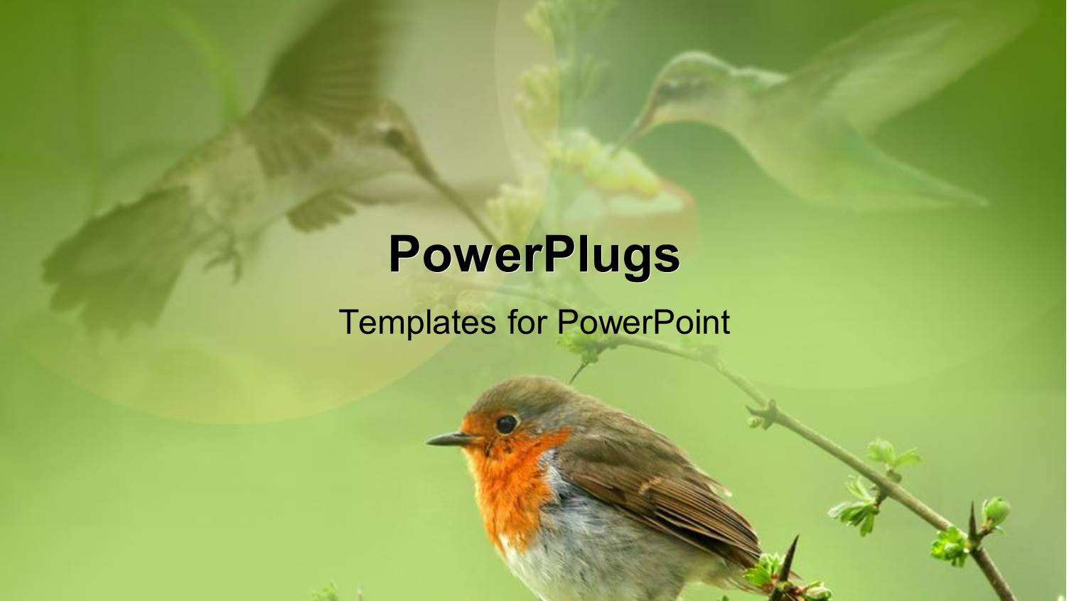 Close Up of Sparrow Sitting on a Tree Branch with Birds Fading in the Green Background