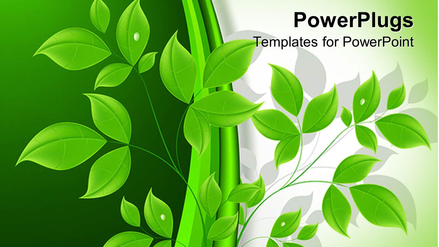 a Close Up View of a 3D Branch with Many Leaves