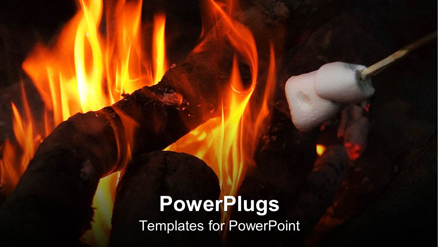 a Close Up View of a Camp Fire with Flames and Wood