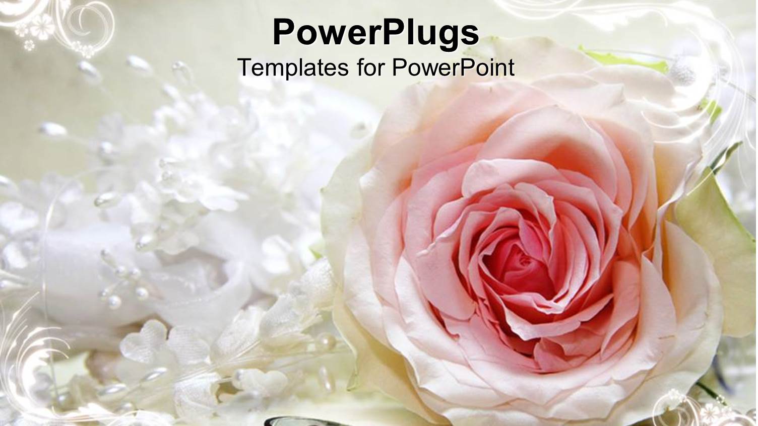 a Close Up View of a Flower with Two Rings on a White Surface