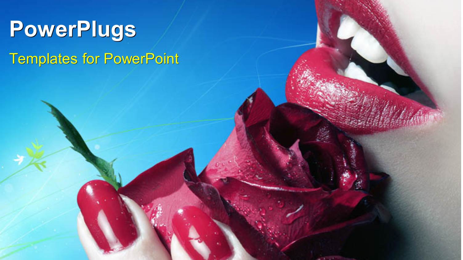 a Close Up View of a Lady Holding a Red Flower