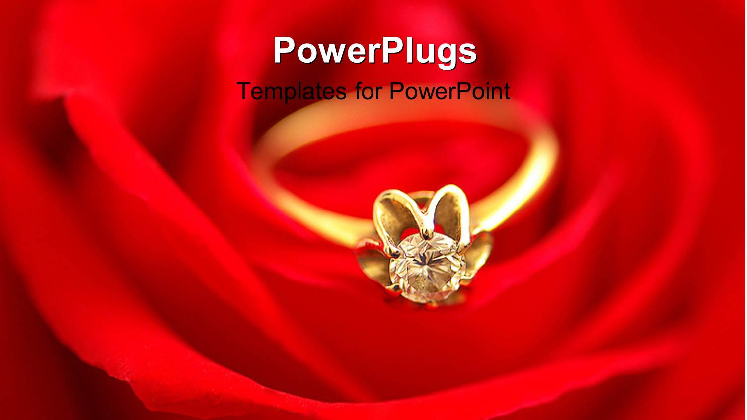 a Close Up View of a Ring on a Red Background