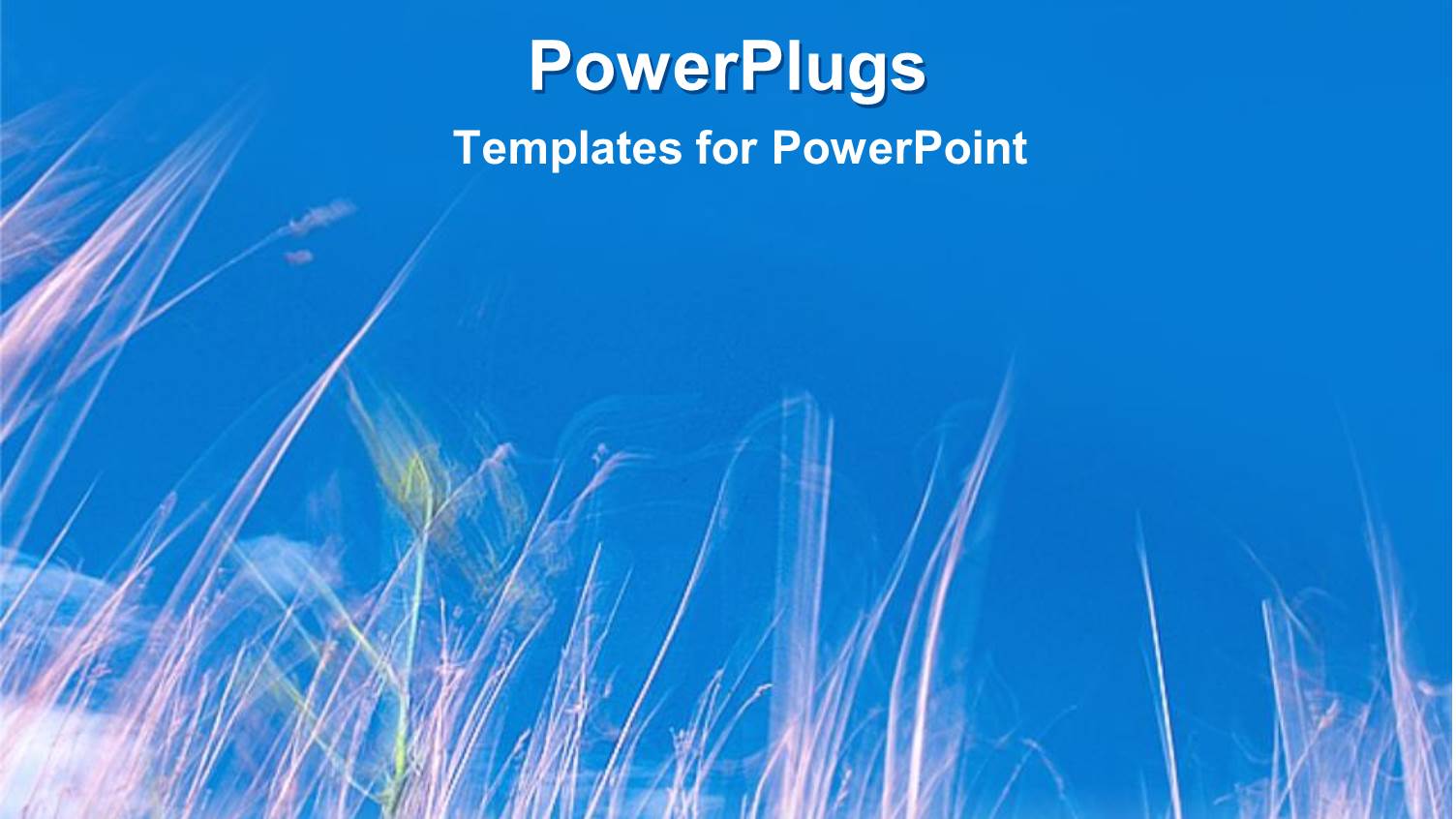 Cloudless Blue Sky with Field of Withered Plants