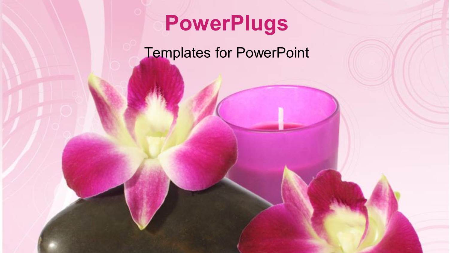 a Cndle with Two Flowers and a Zen Stone