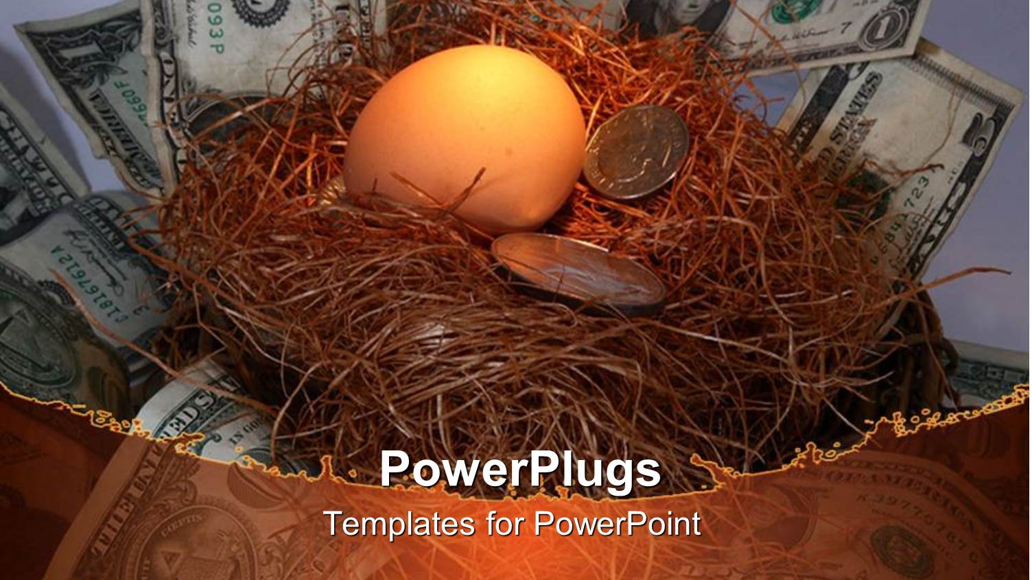 Coins with Egg in Nest Surrounded by Dollar Bills