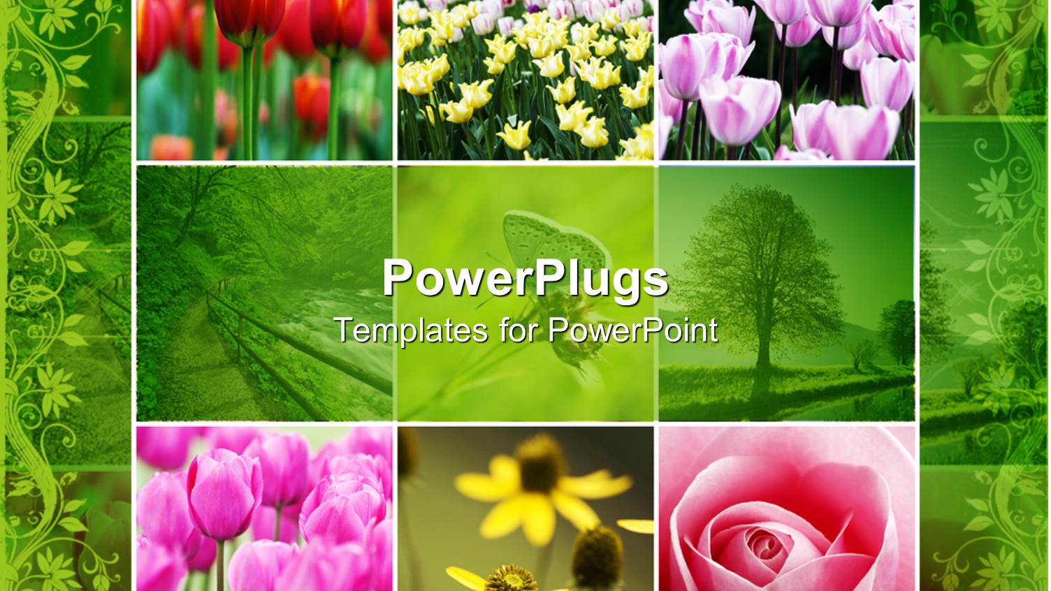 Collage of Colorful Flowers Red Pink White Yellow Tulips, Pink Rose, Yellow Flowers, Green Trees