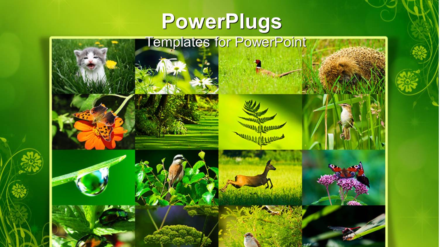 Collage of Environment with Wild Animals and Plants in Green Background