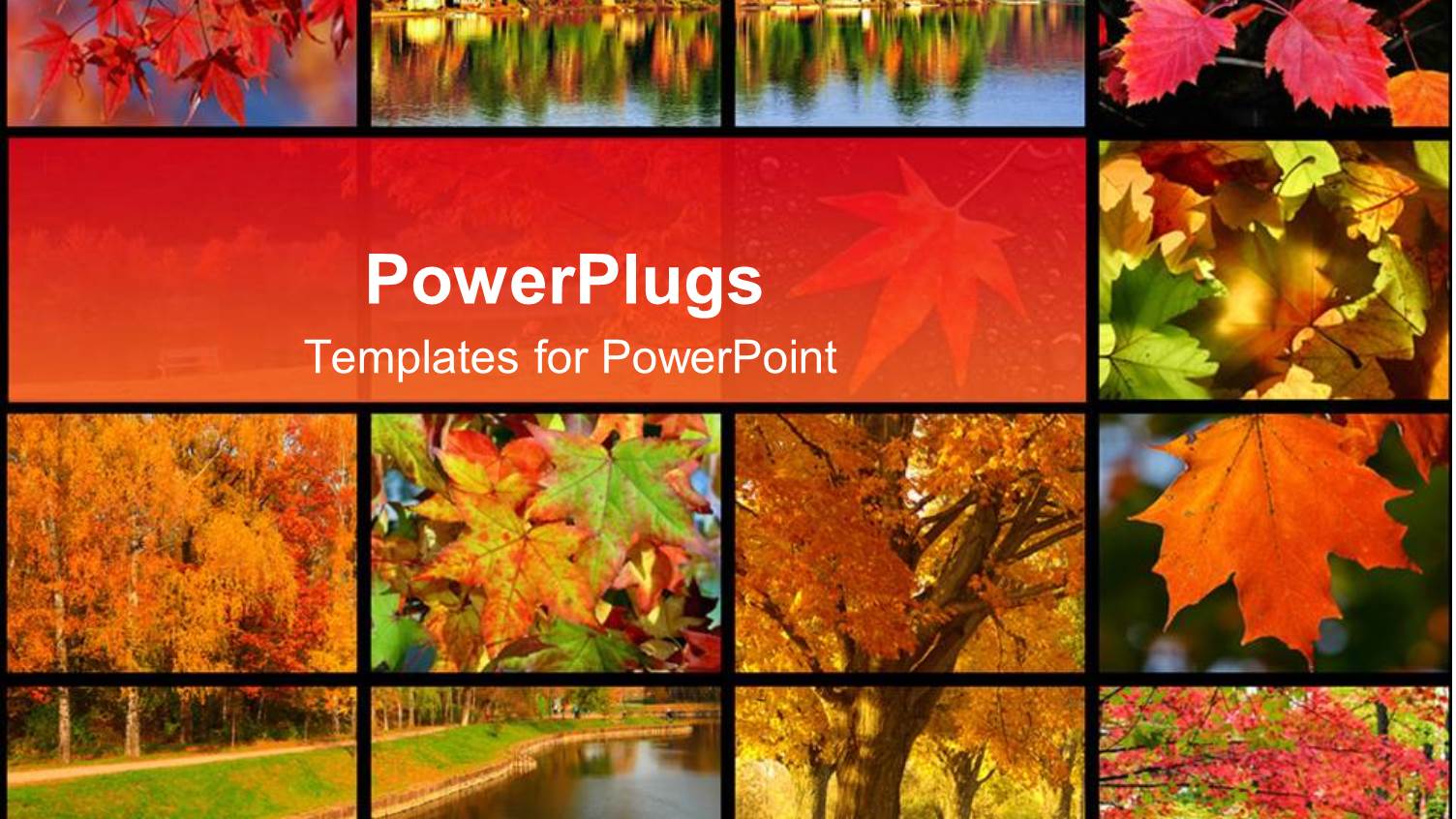 Collage of Images Representing Autumn in the Park Near a River with Autumn Leaves and Trees