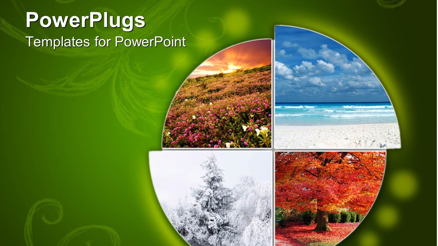 Collage Showing the Four Climatic Seasons in Green Background